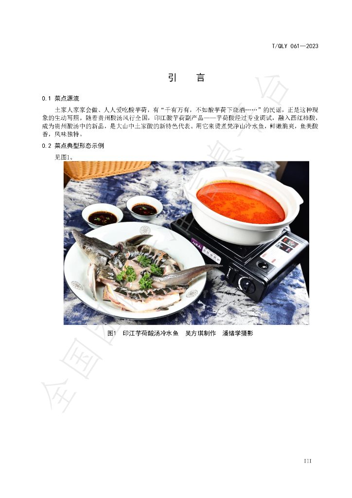 T/QLY 061-2023 标准预览
