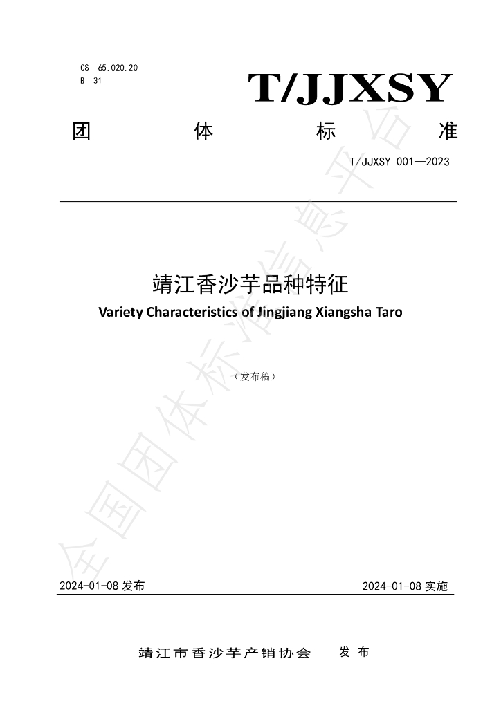 T/JJXSY 001-2023 标准预览