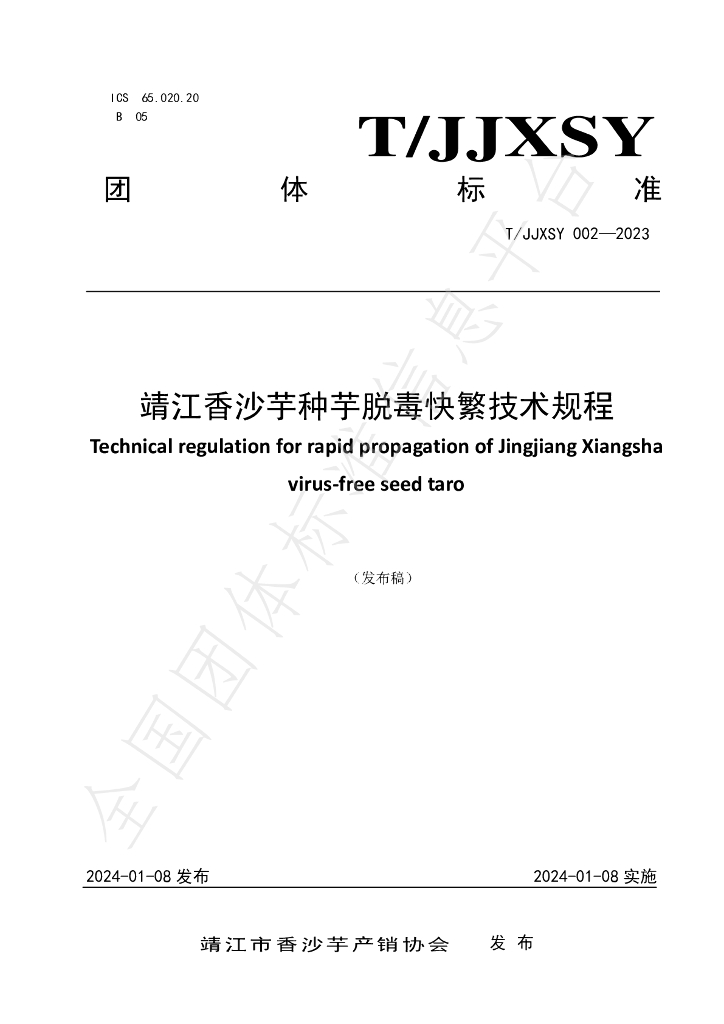 T/JJXSY 002-2023 标准预览
