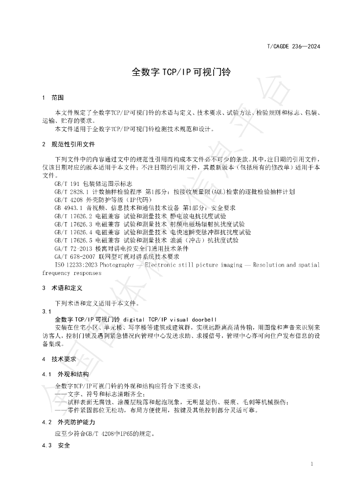 T/CAGDE 236-2024 标准预览