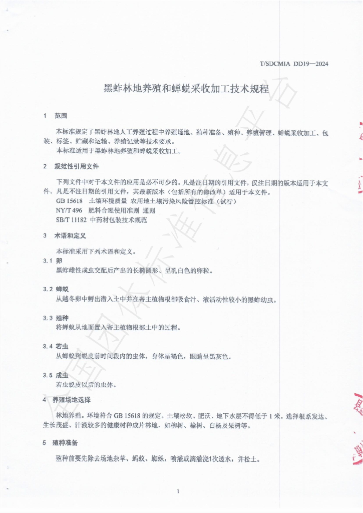 T/SDCMIA DD19-2024 标准预览