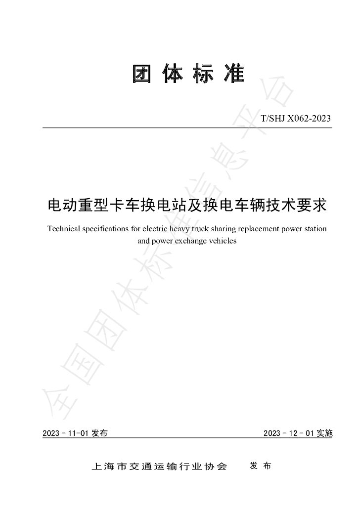 T/SHJX 062-2023 标准预览