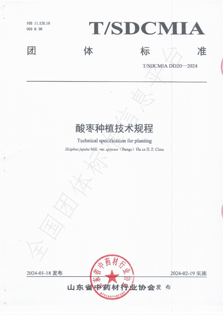 T/SDCMIA DD20-2024 标准预览