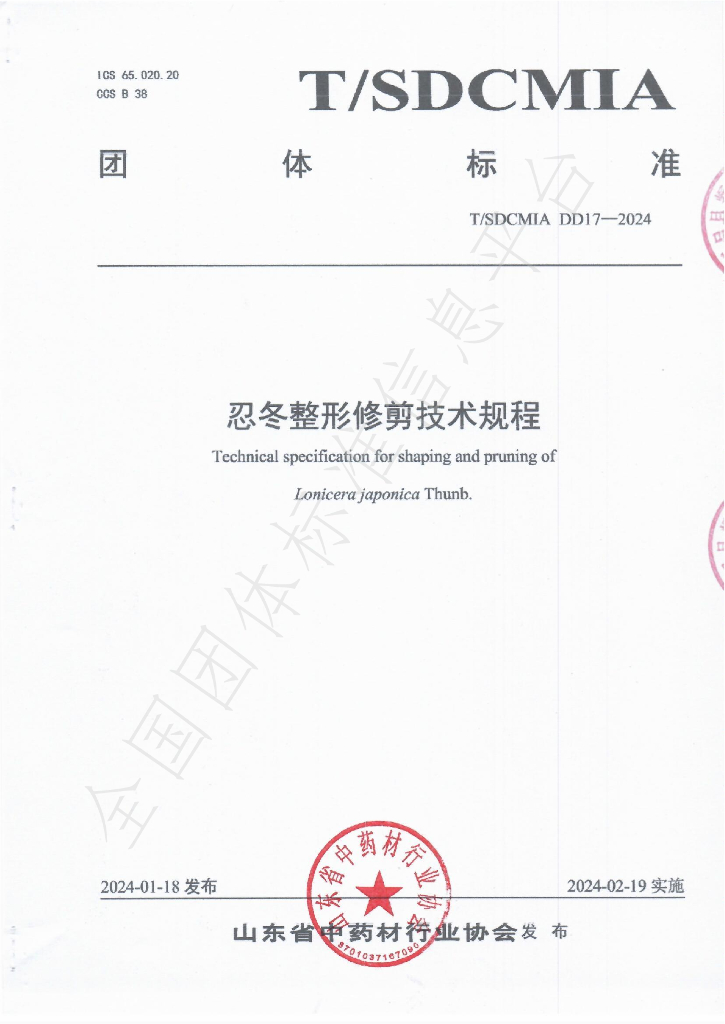 T/SDCMIA DD17-2024 标准预览