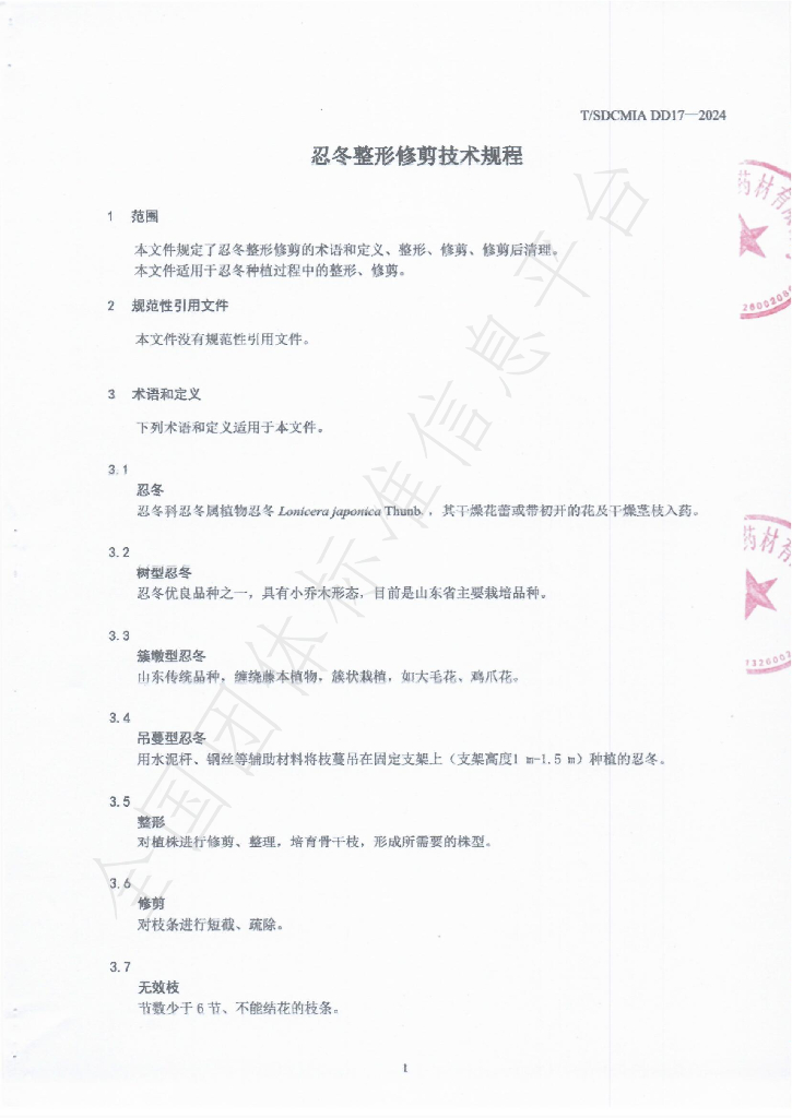 T/SDCMIA DD17-2024 标准预览