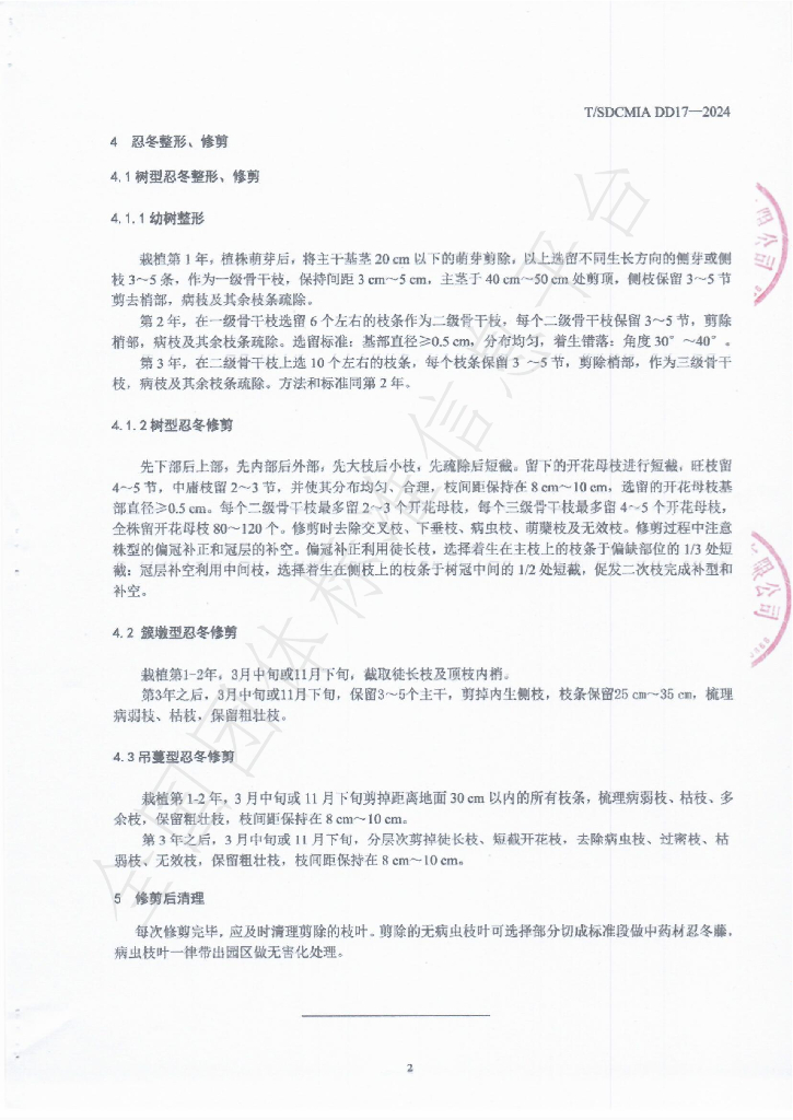 T/SDCMIA DD17-2024 标准预览