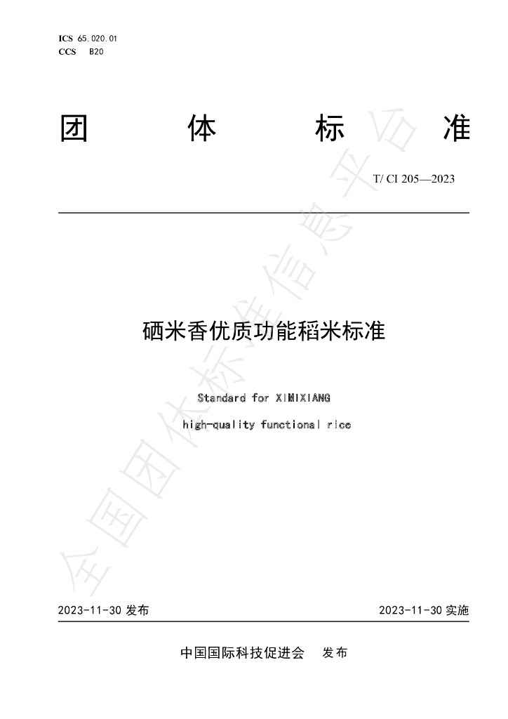 T/CI 205-2023 标准预览