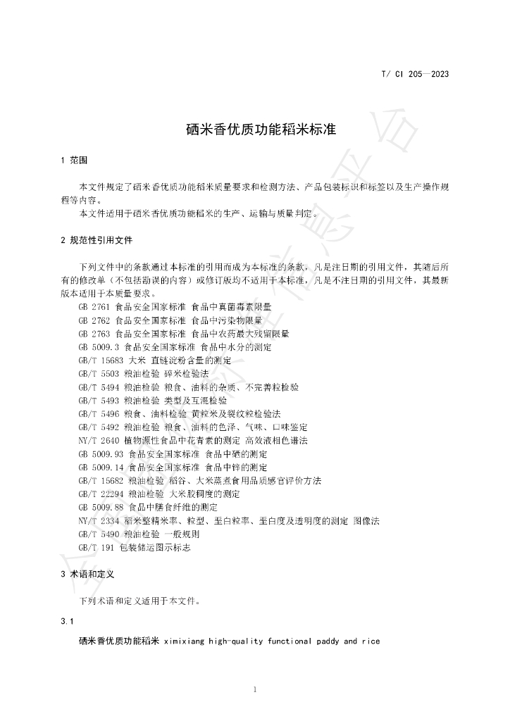 T/CI 205-2023 标准预览