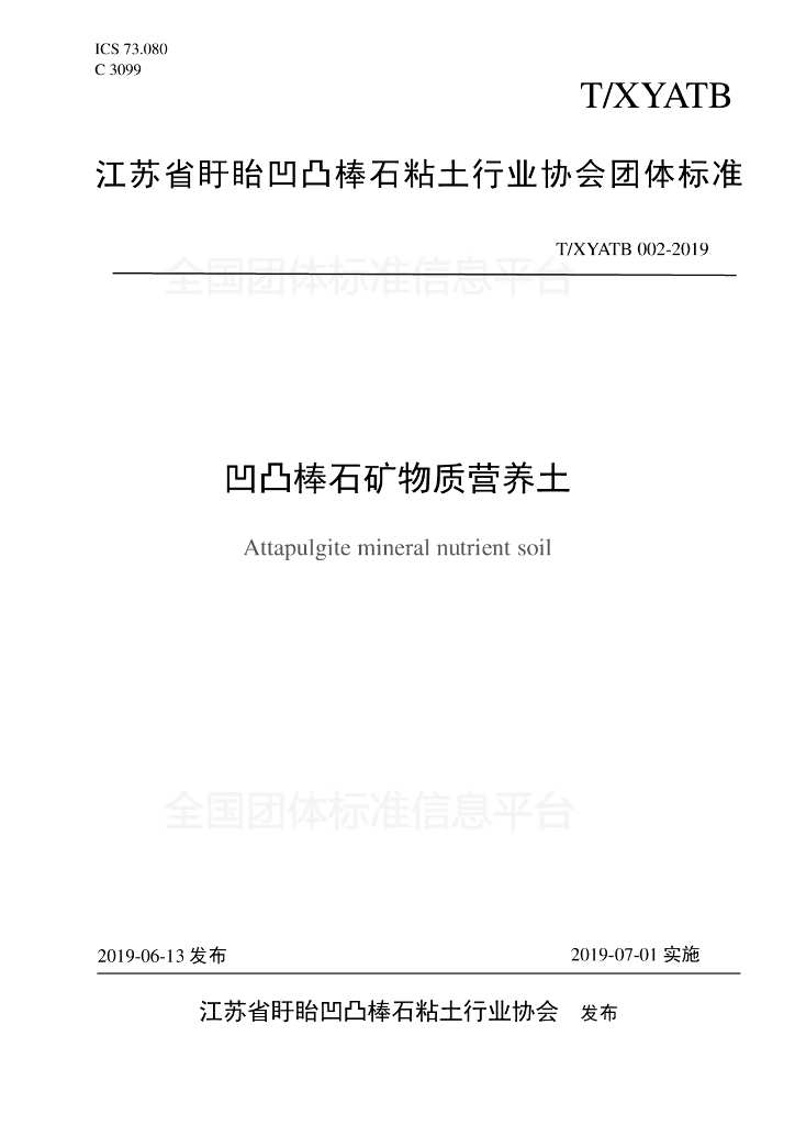 T/XYATB 002-2019 标准预览