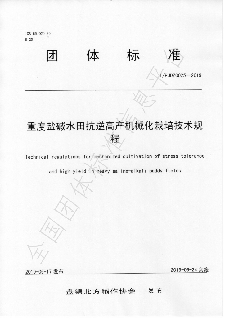 T/PJDZ 0025-2020 标准预览