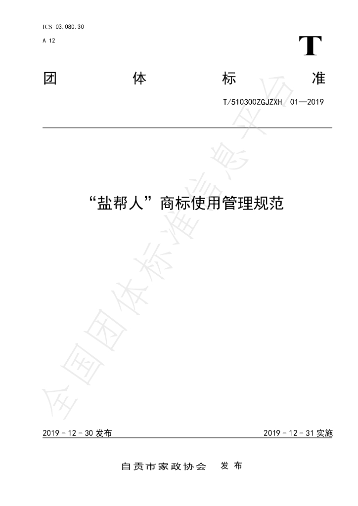 T/510300ZGJZXH 01-2019 标准预览