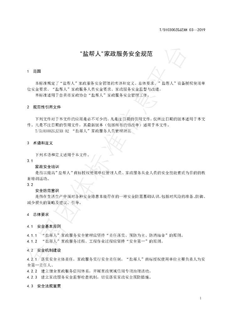 T/510300ZGJZXH 03-2019 标准预览