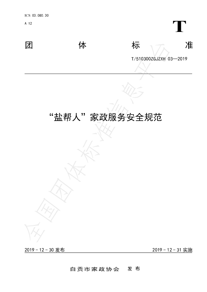 T/510300ZGJZXH 03-2019 标准预览