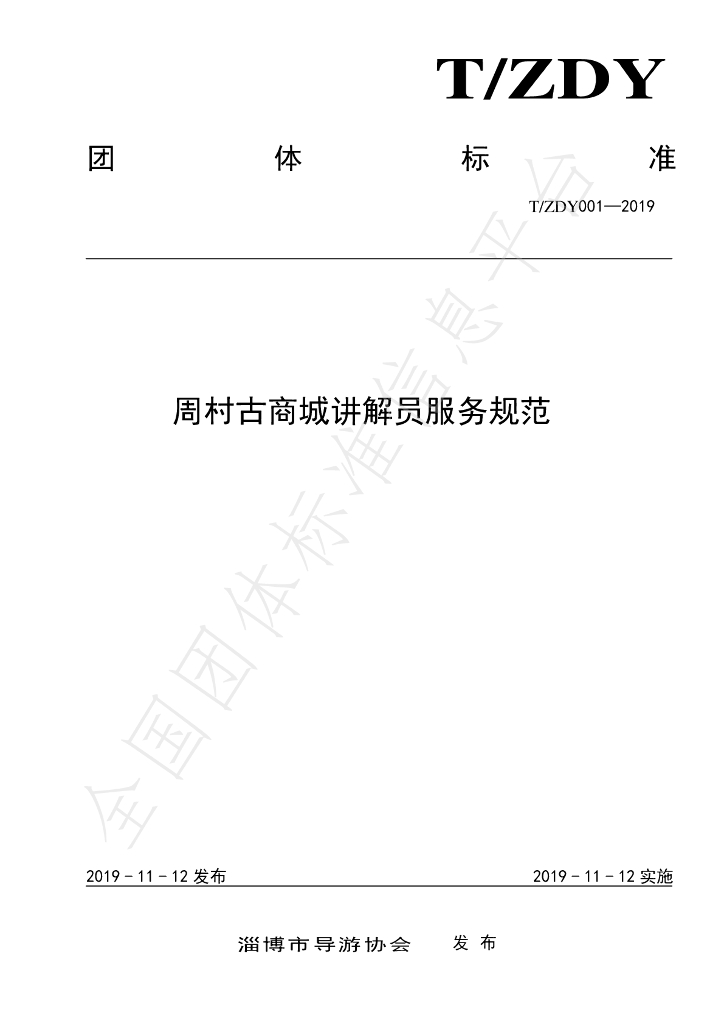 T/ZDY 001-2019 标准预览