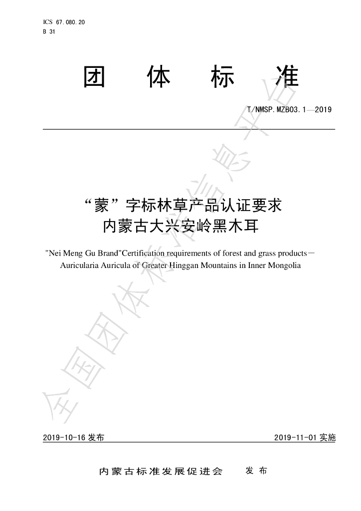 T/NMSP .MZB03.1-2020 标准预览