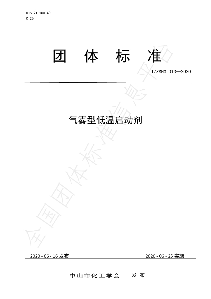 T/ZSHG 013-2020 标准预览