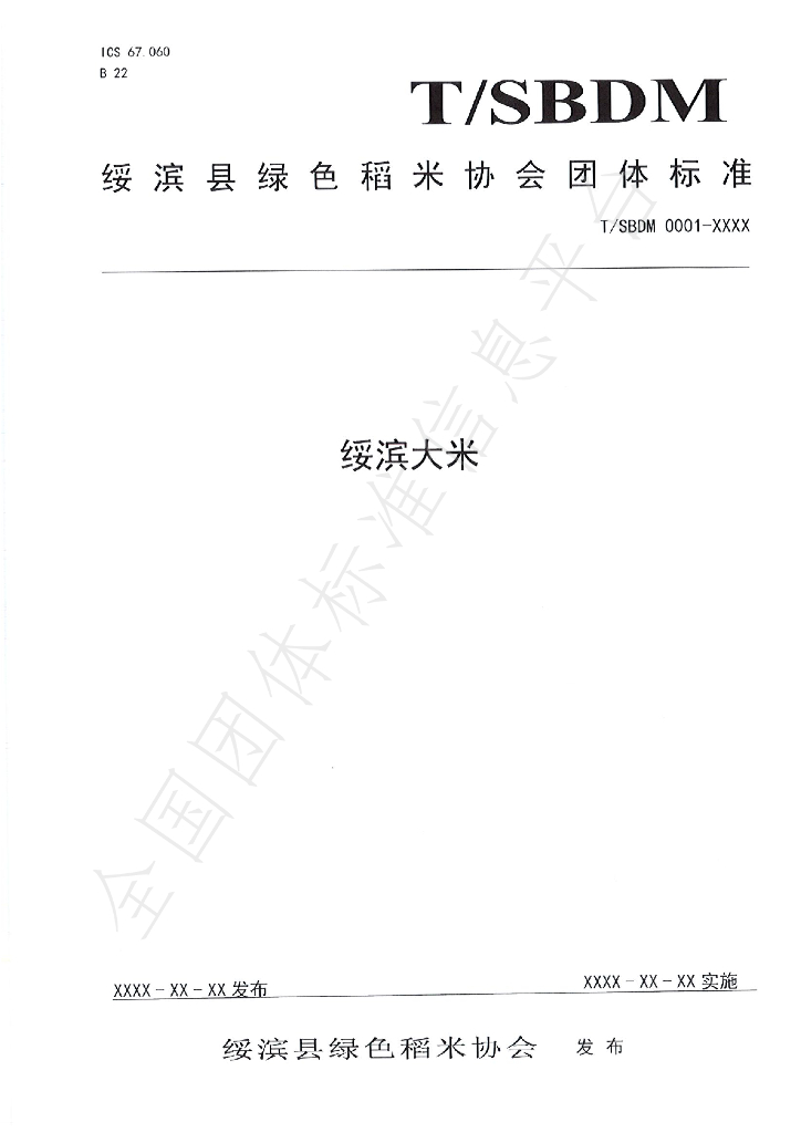 T/SBDM 0001-2020 标准预览