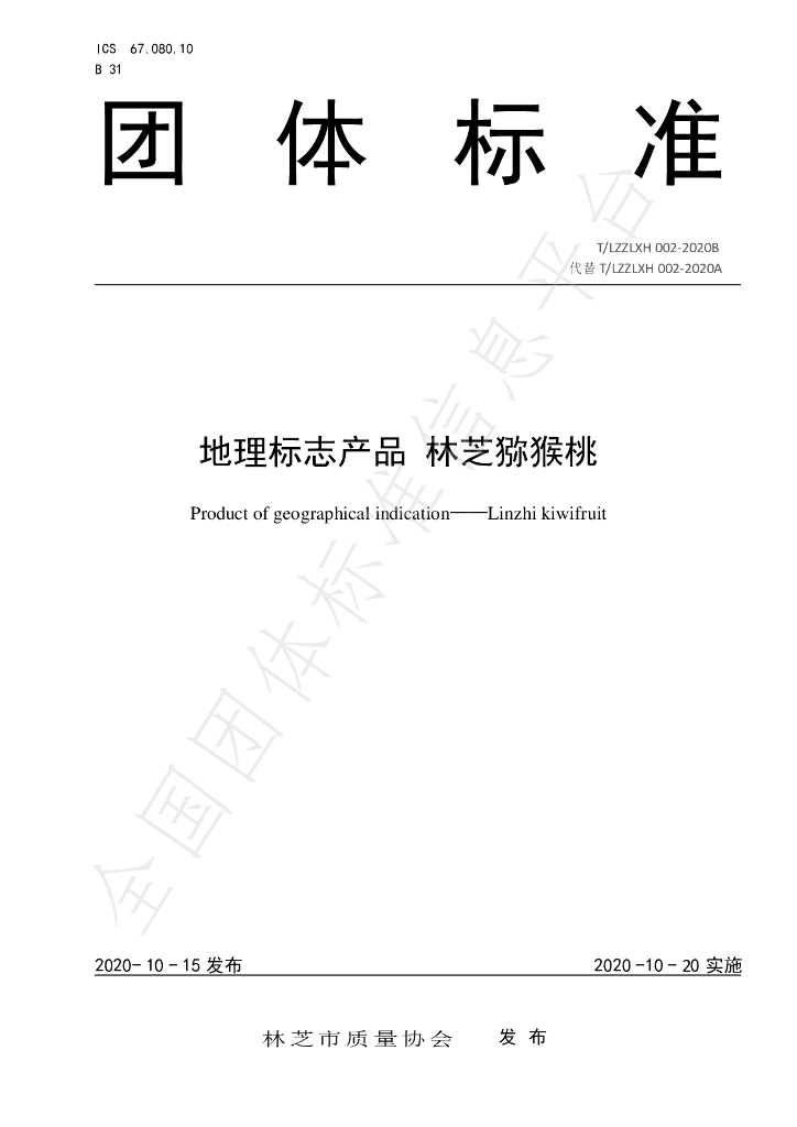 T/LZZLXH 002-2020B 标准预览