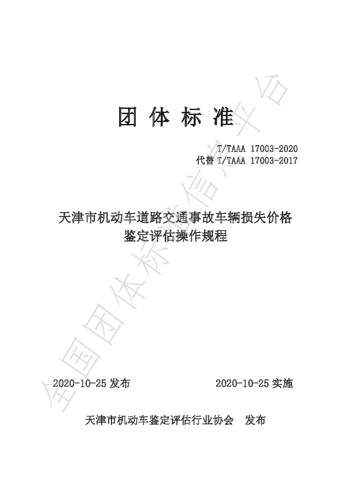 T/TAAA 17003-2020 标准预览