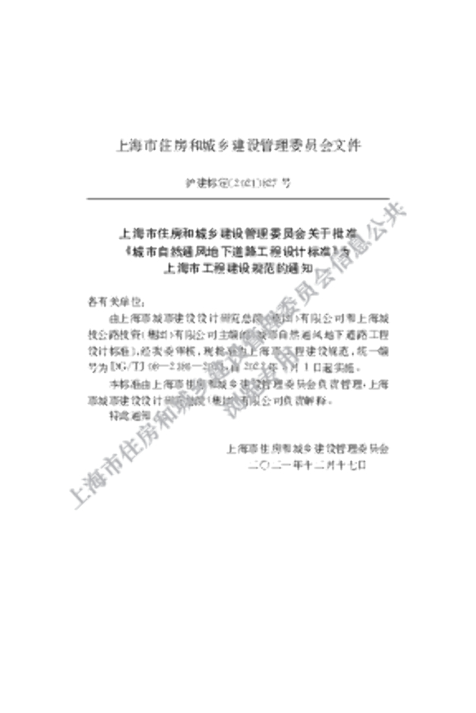 DG/TJ 08-2386-2021 标准预览