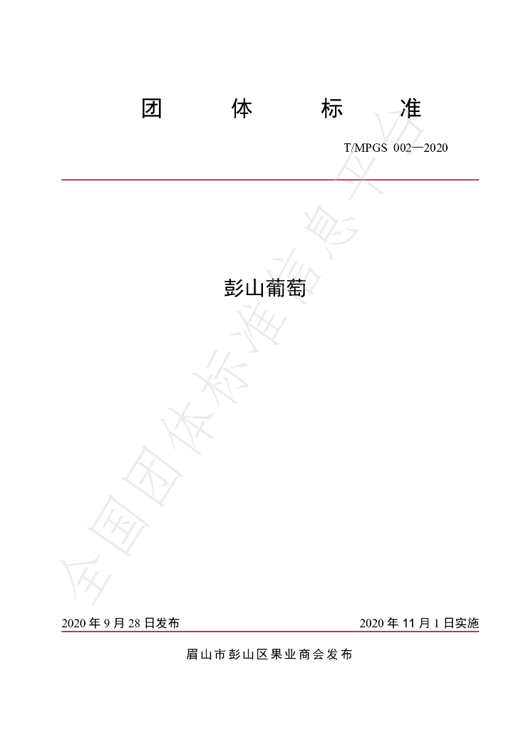 T/MPGS 002-2020 标准预览