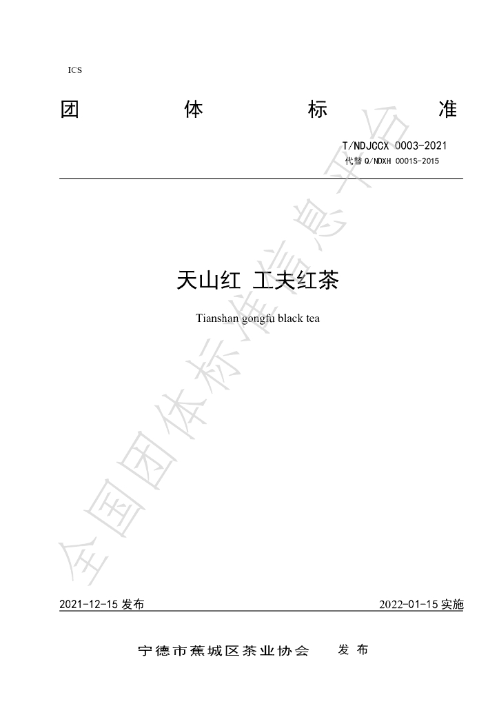 T/NDJCCX 003-2022 标准预览