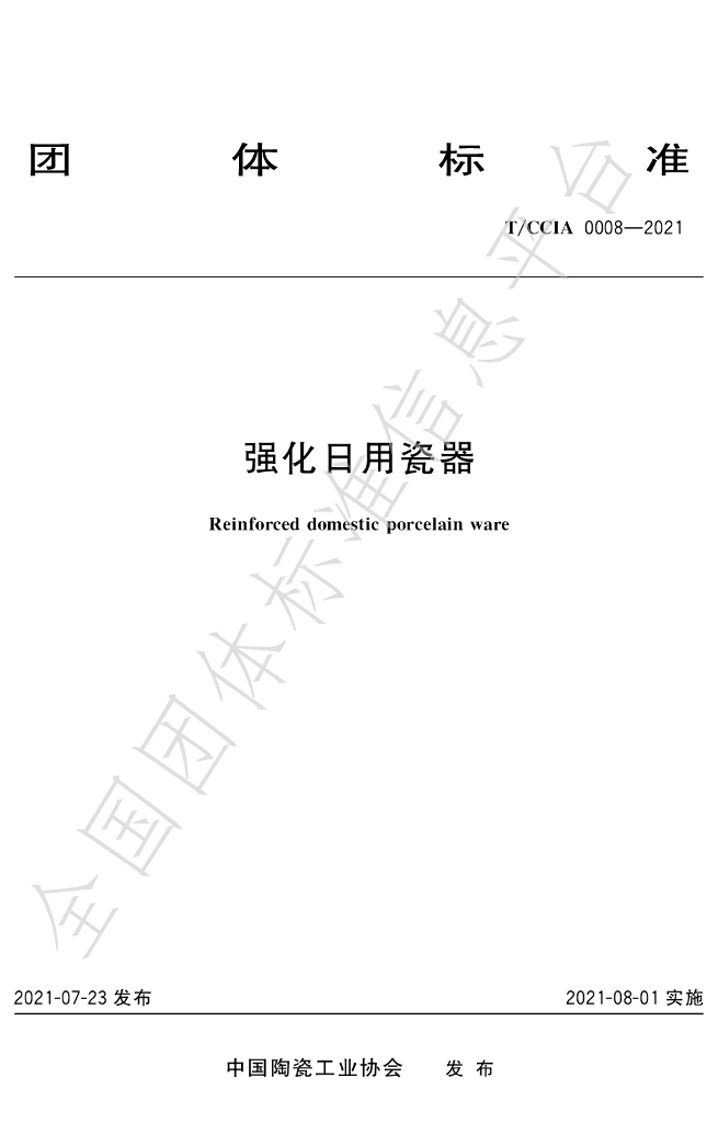 T/CCIA 0008-2022 标准预览