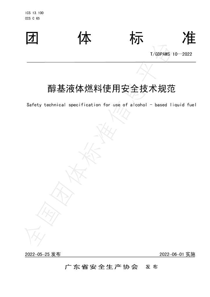 T/GDPAWS 10-2022 标准预览