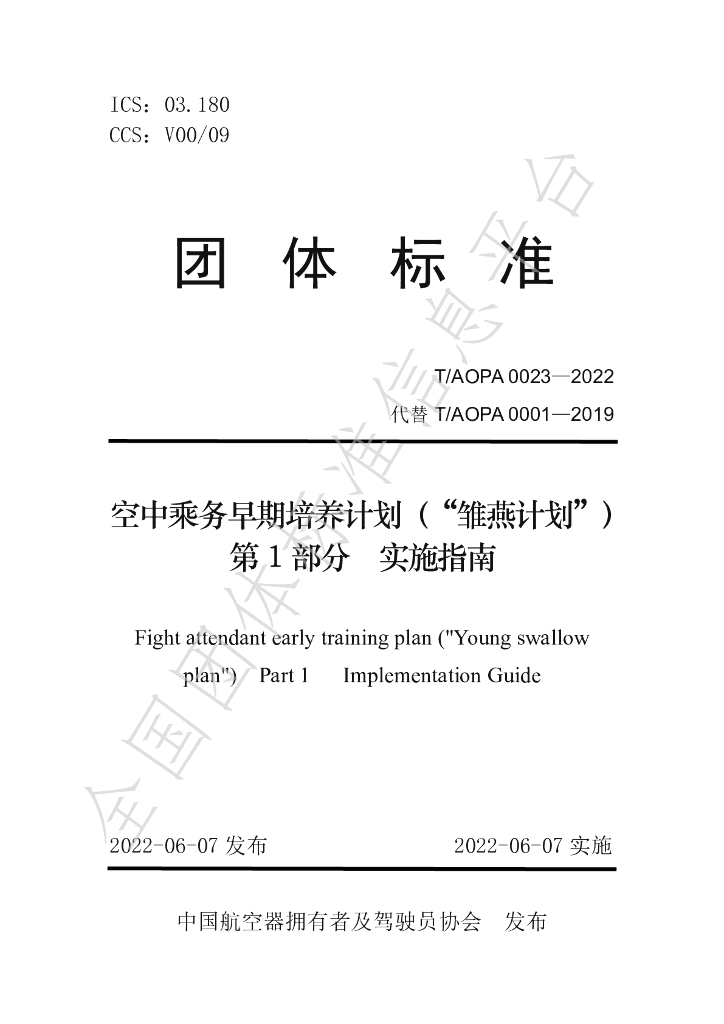 T/AOPA 0001-2022 标准预览