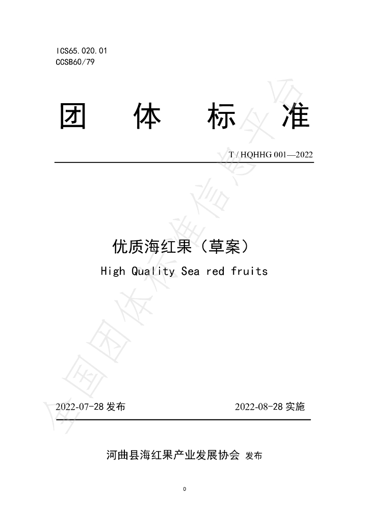 T/HQHHG 001-2022 标准预览