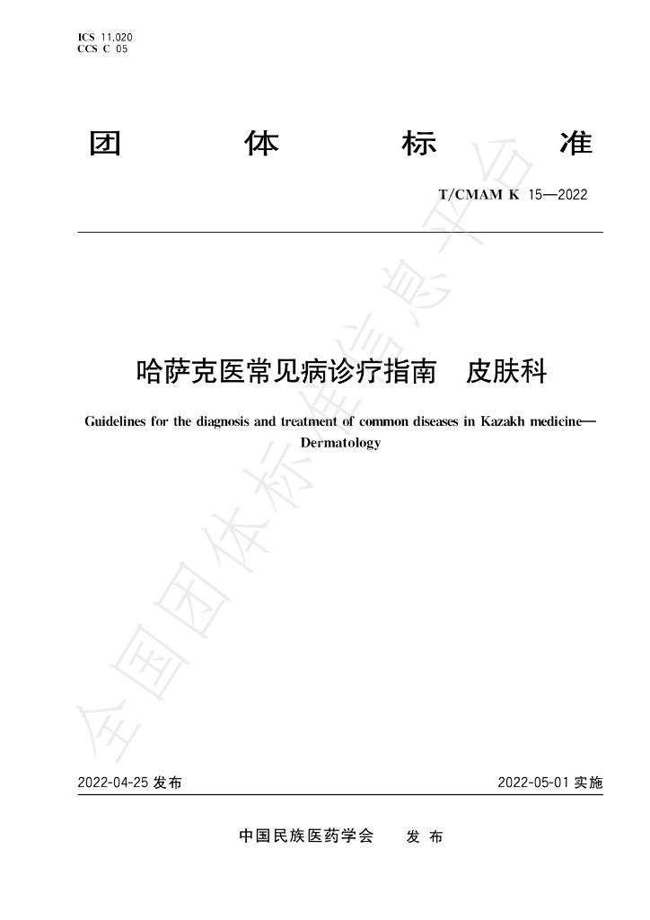 T/CMAM k15-2022 标准预览