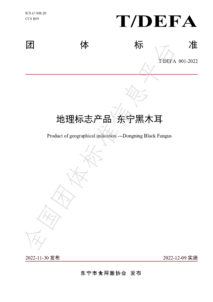 T/DEFA 001-2022 标准预览