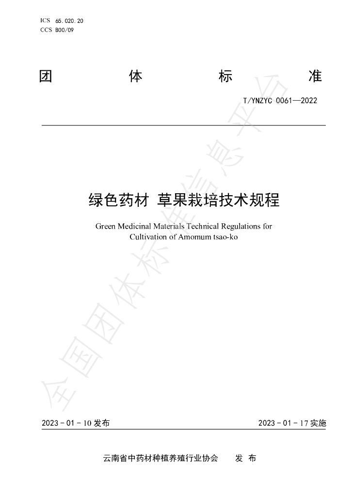 T/YNZYC 0061-2022 标准预览