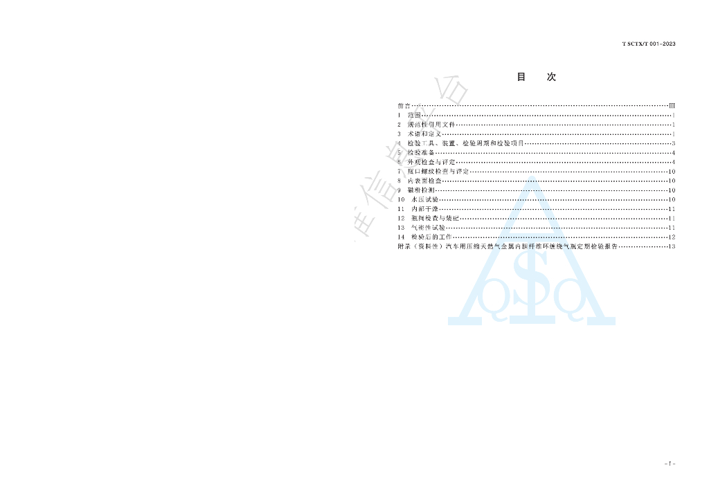 T/SCTX T 001-2023 标准预览