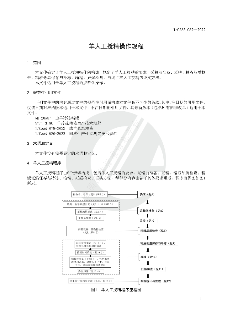 T/CAAA 082-2022 标准预览