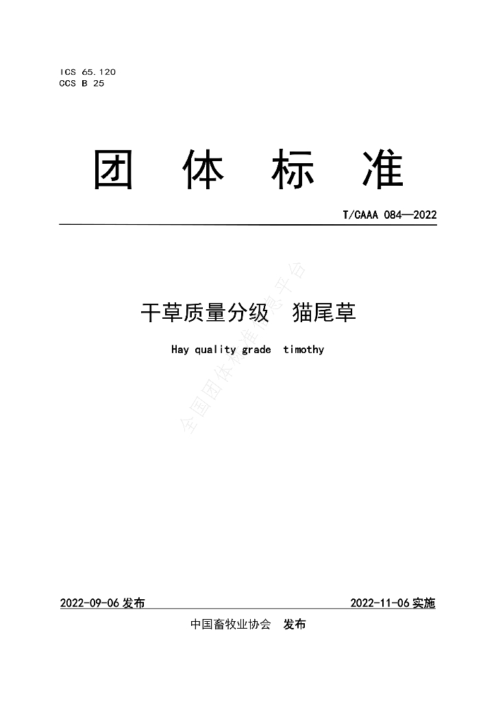 T/CAAA 084-2022 标准预览