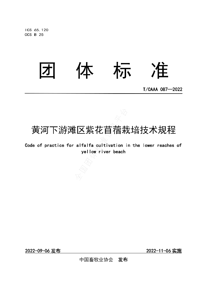 T/CAAA 087-2022 标准预览