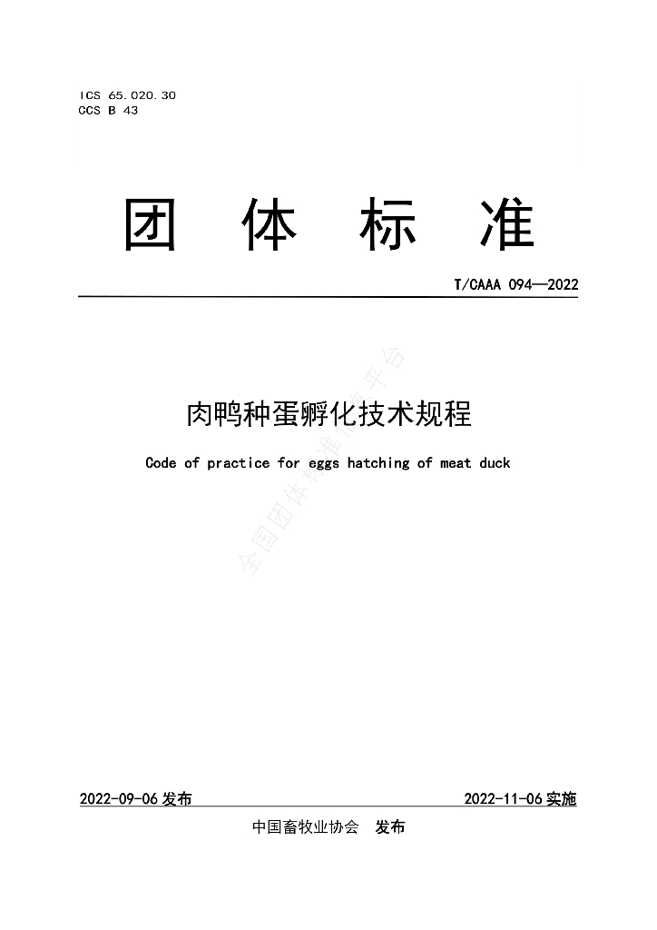 T/CAAA 094-2022 标准预览
