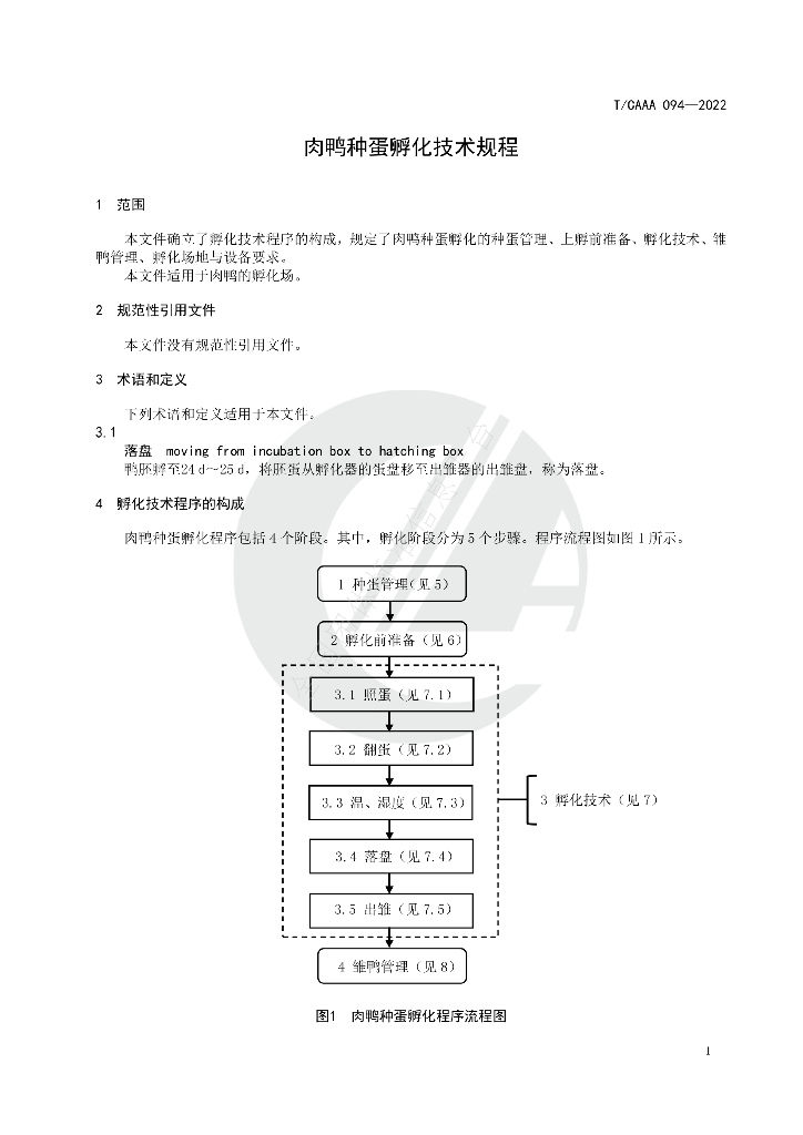 T/CAAA 094-2022 标准预览