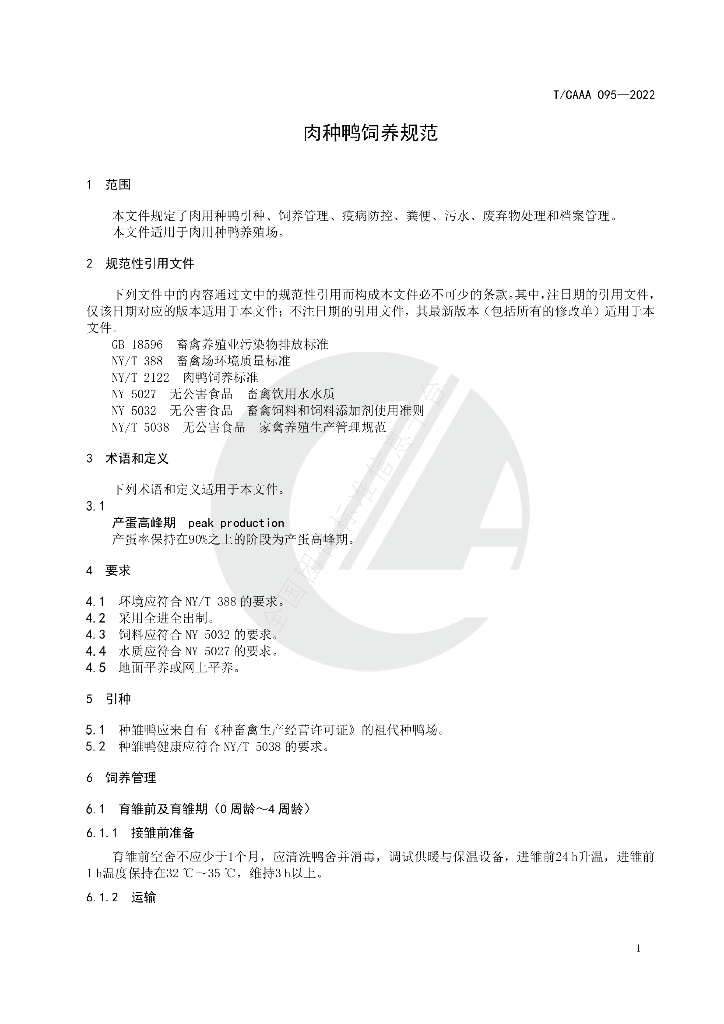 T/CAAA 095-2022 标准预览