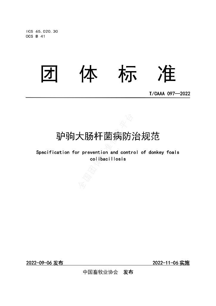 T/CAAA 097-2022 标准预览