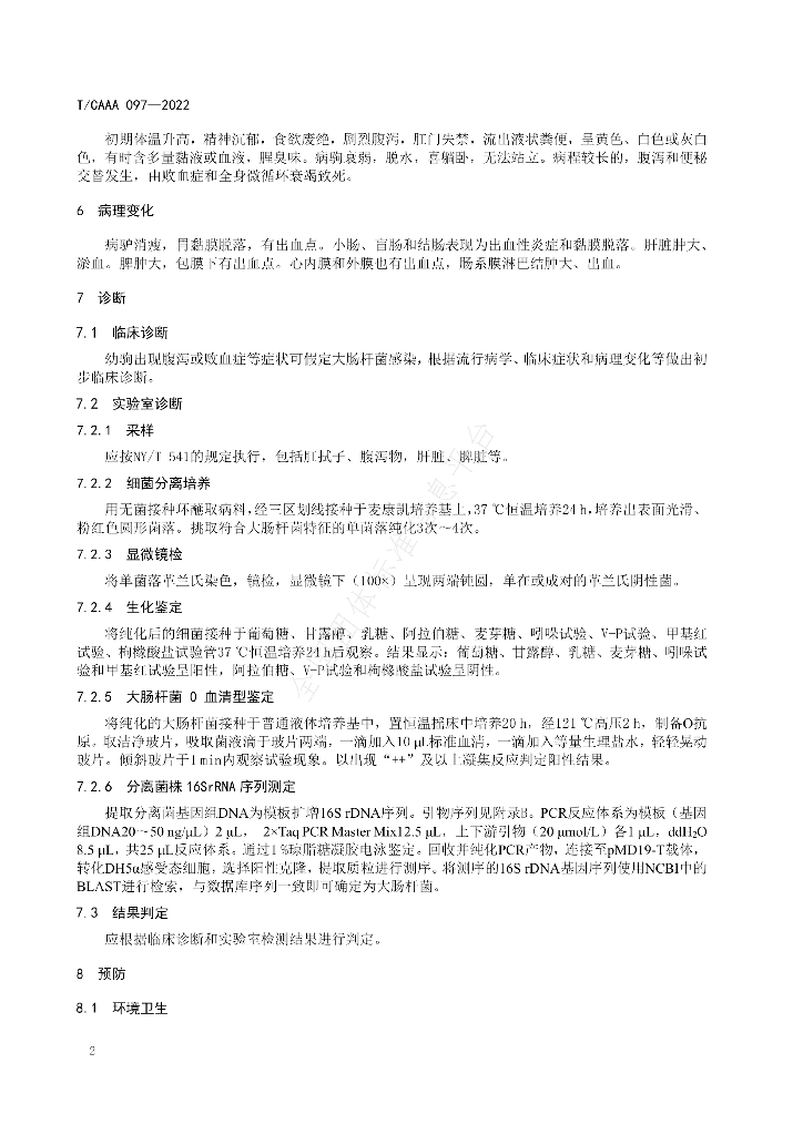 T/CAAA 097-2022 标准预览