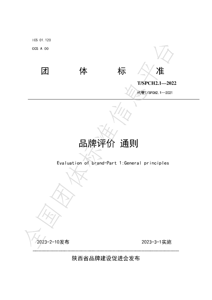 T/SPCH 2.1-2022 标准预览