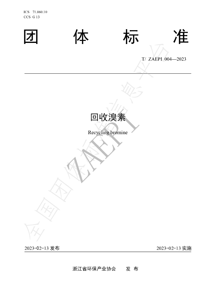 T/ZAEPI 004-2023 标准预览