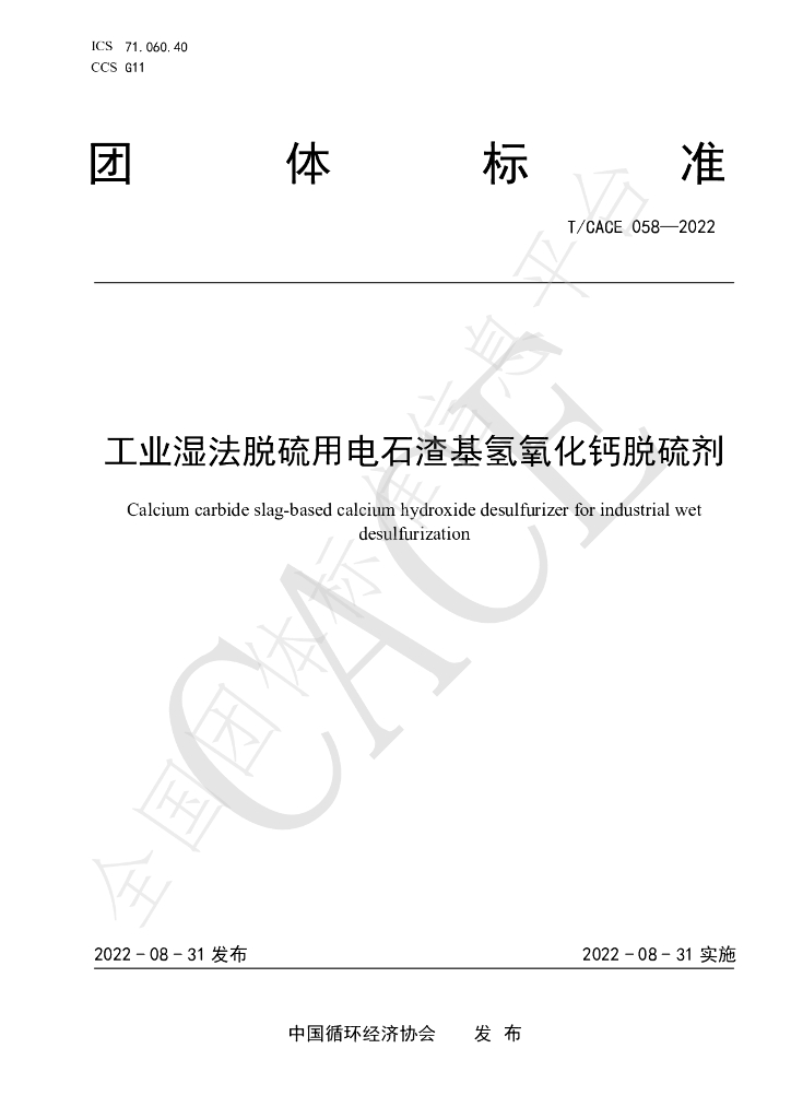 T/CACE 058-2022 标准预览