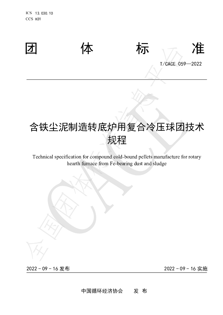 T/CACE 059-2022 标准预览