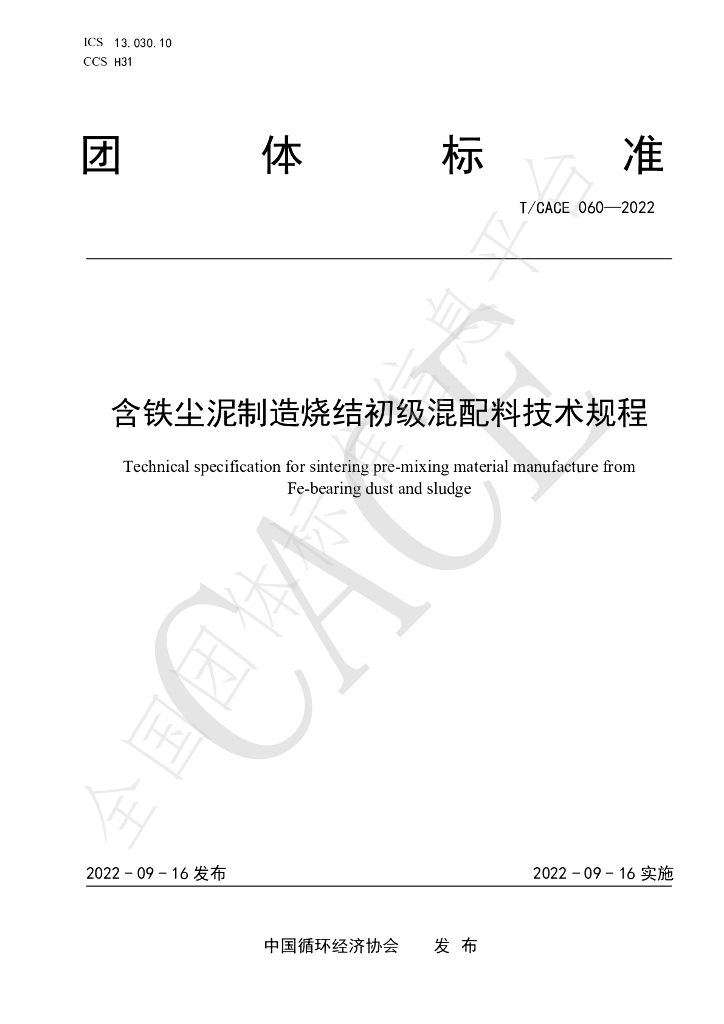 T/CACE 060-2022 标准预览