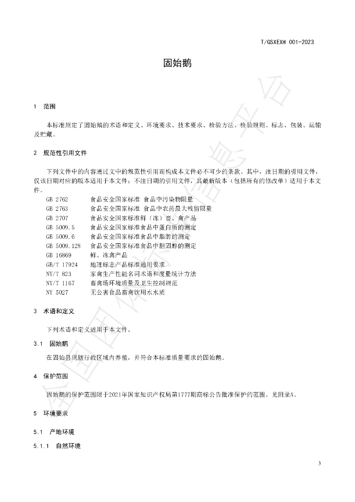 T/GSXEXH 01-2023 标准预览