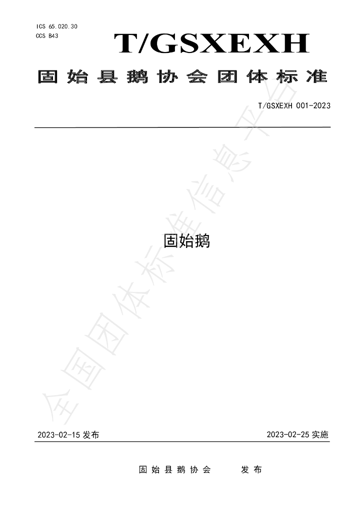 T/GSXEXH 01-2023 标准预览