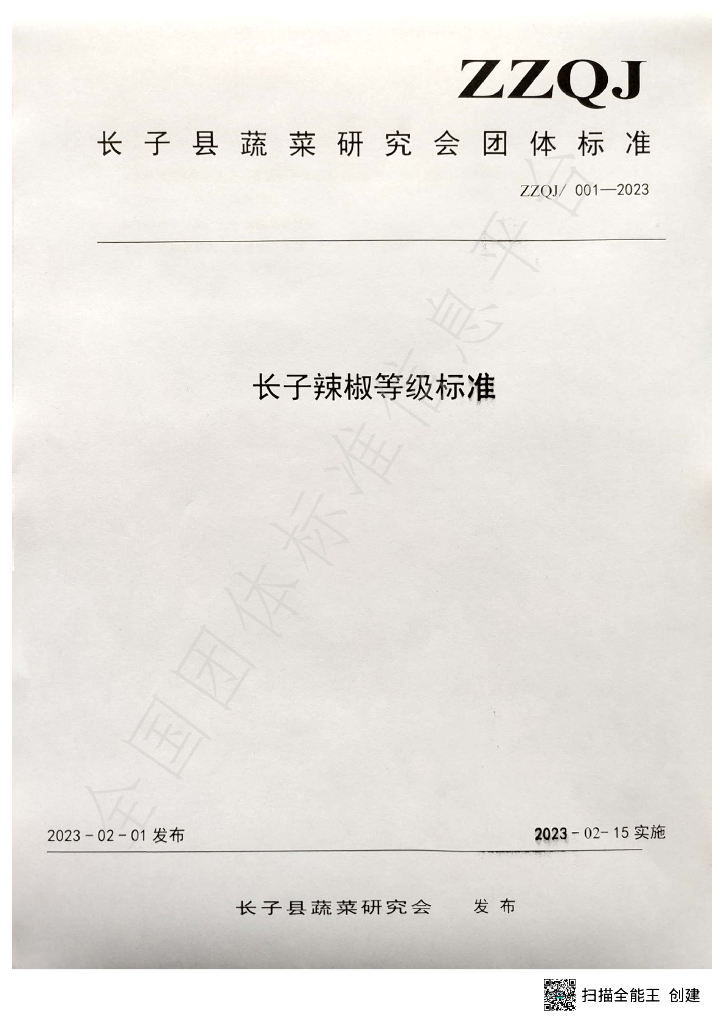 T/ZZQJ 001-2023 标准预览